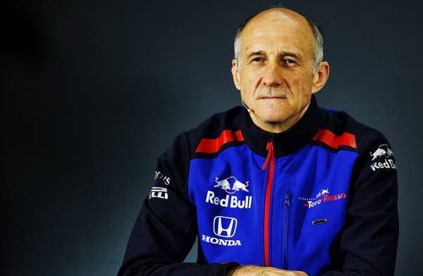 'STR14 grotendeels gebaseerd op de Red Bull RB14 van vorig F1 seizoen' 
