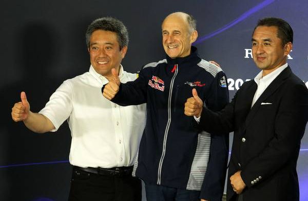 Red Bull was bereid te racen maar Honda staat volledig achter beslissing FIA