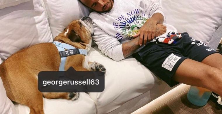 Hamilton tagt per ongeluk Russell als zijn hond op Instagram