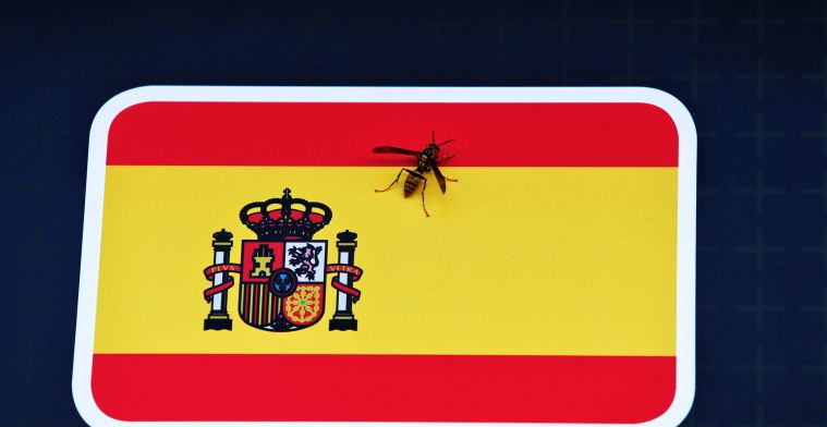Burgemeester Madrid klinkt minder enthousiast: 'Het is heel voorbarig'