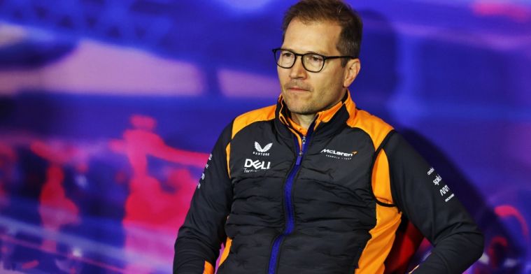 Seidl gaat in op toekomst van Ricciardo bij McLaren