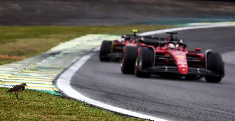 Ferrari vol vertrouwen: 'Dit jaar veel goede kwalificaties gehad'