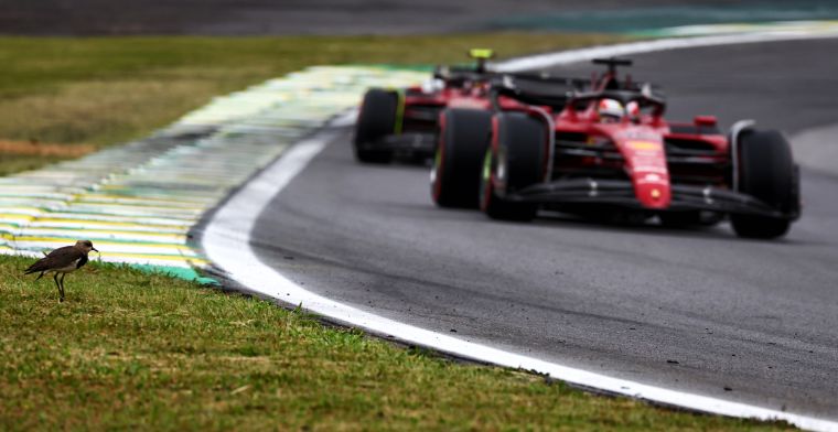 Windsor vindt Ferrari onbegrijpelijk: 'Ze hadden op pole kunnen staan'